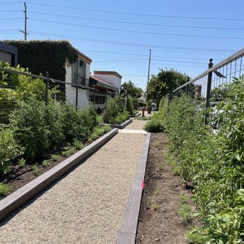 Pietro's - Herb Garden - Italian Near Me - Lodi, California