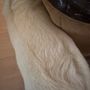 Waggin Tails Pet Grooming