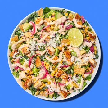 Just Salad - a plate of salad on a blue background - Salad Near Me - Winter Garden, Florida Just Salad - a plate of salad on a blue background - Salad Near Me - Winter Garden, Florida