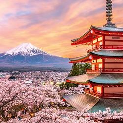 Chatman Destinations - Japan