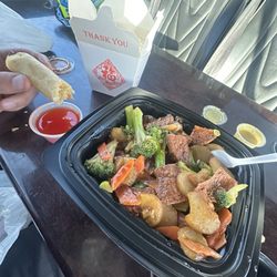 Tasty Garden - Vegetarian Beef with Broccoli