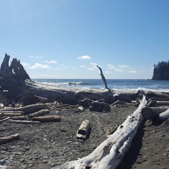 Quileute Oceanside Resort - Hotels Near Me - La Push, Washington