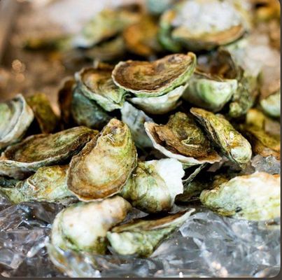 Matunuck Oyster Bar by null