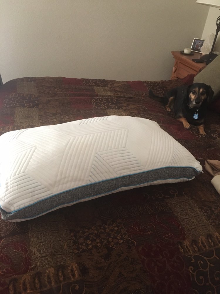 HALTOM MATTRESS FACTORY Updated August 2024 900 Haltom Rd, Fort Worth, Texas Mattresses