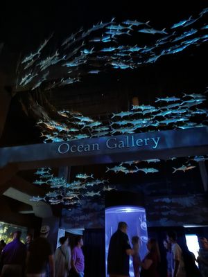 North Carolina Aquarium at Fort Fisher by null