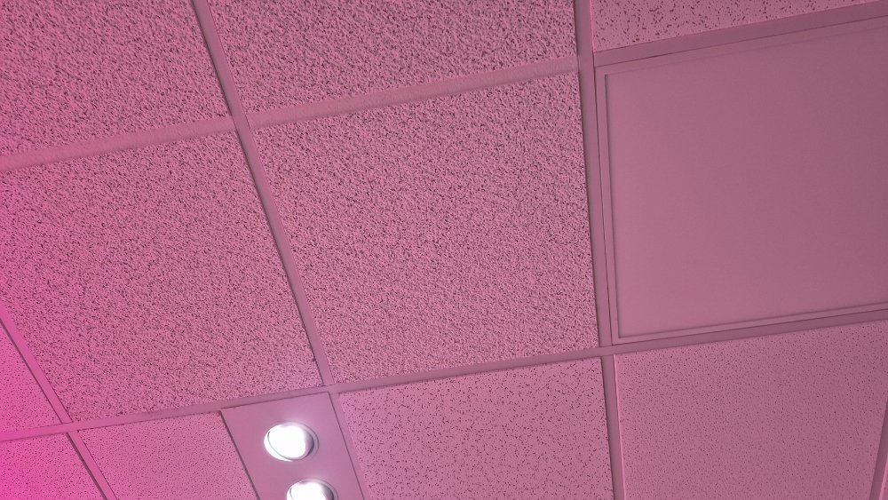 Slide of Sams Handyman