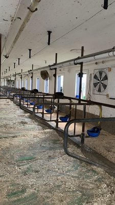 Chaseholm Farm by null