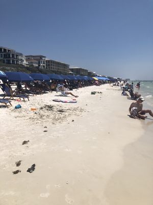 Crabby Steves Highpointe by null