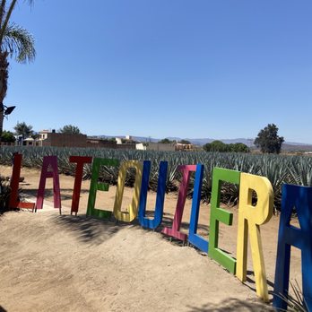 Banderas Adventures - Agave fields. - Historical Tours Near Me - Puerto Vallarta, JAL