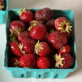 Fairwinds Farm - Pick Your Own Farms Near Me - Bowdoinham, Maine