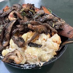 Blue oyster mushrooms! The best Mac and cheese I have had from a restaurant! In the back some very well cooked and tasty sweet potatoes! Blue oyster mushrooms! The best Mac and cheese I have had from a restaurant! In the back some very well cooked and tasty sweet potatoes!