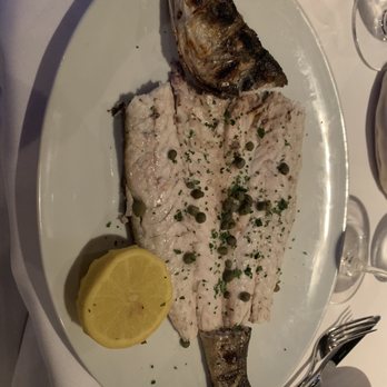 Kyma - Lavraki - Greek Near Me - Atlanta, Georgia