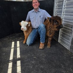 Mattern Livestock Hauling