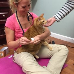 Caldwell Integrative Veterinary Medicine