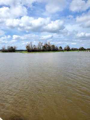 McGee's Louisiana Swamp & Airboat Tours by null