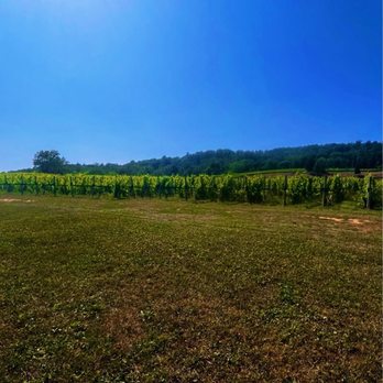 Alba Vineyard - Wineries Near Me - Milford, New Jersey Alba Vineyard - Wineries Near Me - Milford, New Jersey
