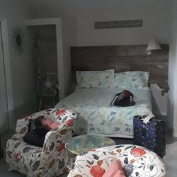 Nature Coast Inn - Artist Cabin Main Room