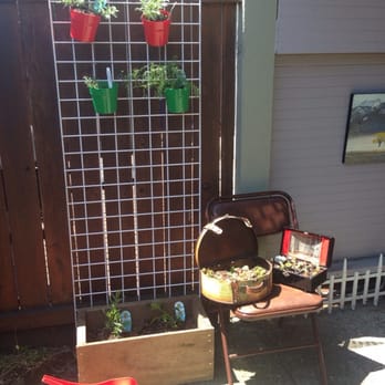 Birds & Bees Nursery - French Tarragon and more succulents I purchased - Nurseries & Gardening Near Me - Portland, Oregon Birds & Bees Nursery - French Tarragon and more succulents I purchased - Nurseries & Gardening Near Me - Portland, Oregon