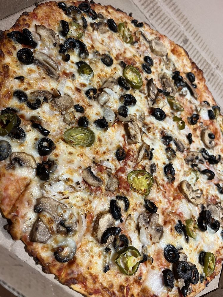 Domino's Pizza Logo