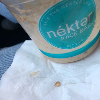 Nekter Juice Bar - HAIR IN MY BOWL!!! - Juice Bars & Smoothies Near Me - Pasadena, California Nekter Juice Bar - HAIR IN MY BOWL!!! - Juice Bars & Smoothies Near Me - Pasadena, California