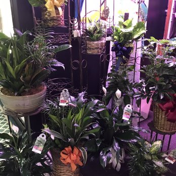 Making Memories Flowers & Gifts - Making Memories sells gift plants - Florists Near Me - Bloomfield, Iowa Making Memories Flowers & Gifts - Making Memories sells gift plants - Florists Near Me - Bloomfield, Iowa