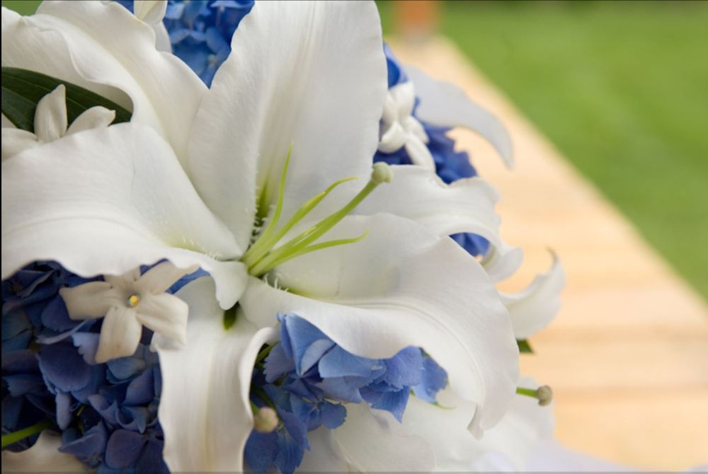 GARDEN LAURELS BY SAGER Updated April 2024 7800 Dairy Ridge Rd