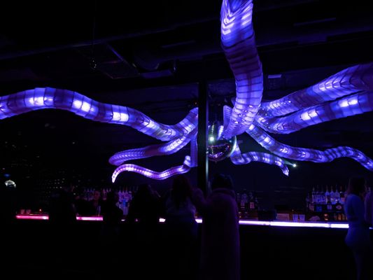 Discopussy by null