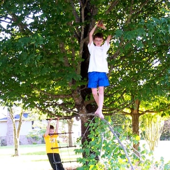 Greentree - Put the Green Back in your Tree! - Tree Services Near Me - Greenville, South Carolina Greentree - Put the Green Back in your Tree! - Tree Services Near Me - Greenville, South Carolina