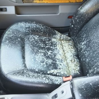 ShiftN Detailz - Auto Detailing Near Me