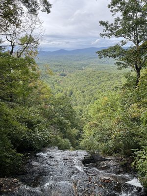 Amicalola Falls State Park by null