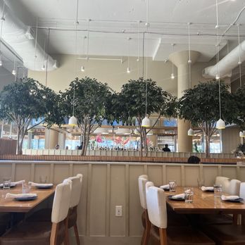 The Finch - View from our seats - New American Near Me - Dallas, Texas