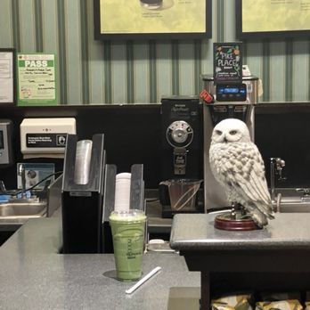 Barnes & Noble - It's the matcha and the owl - Bookstores Near Me - San Bruno, California