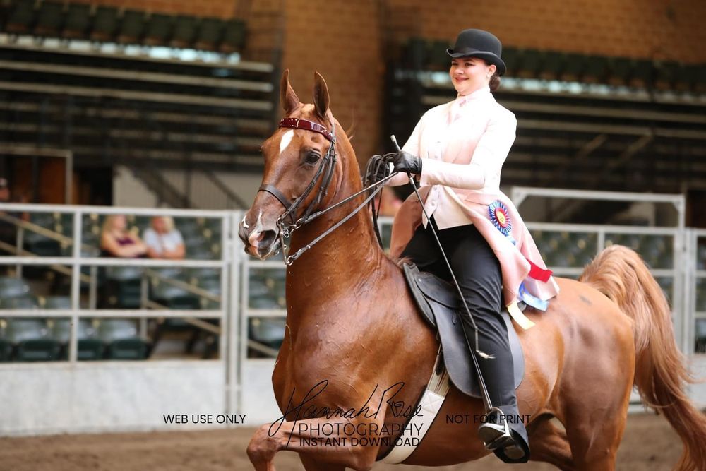Blue Meadows Farm - equestrian in Van Meter, IA