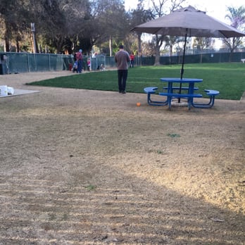 Las Palmas Dog Park - Dog Parks Near Me - Sunnyvale, California Las Palmas Dog Park - Dog Parks Near Me - Sunnyvale, California