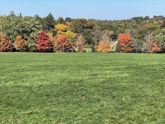 Larz Anderson Park by null