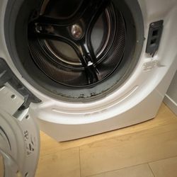 Black Swan Living - Mold affected washing machine on move in.