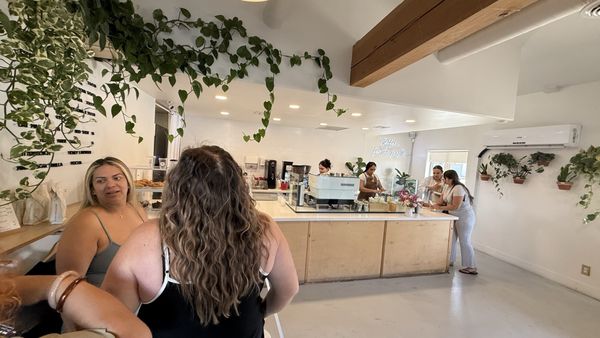 Everbloom Coffee by null
