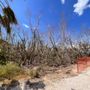 Photo of City of Sanibel