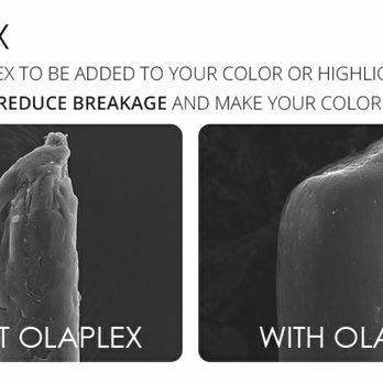 Hair By Jeannette - Olaplex System of Hair Repair - Waxing Near Me - Forked River, New Jersey Hair By Jeannette - Olaplex System of Hair Repair - Waxing Near Me - Forked River, New Jersey