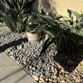 Pacific Landscaping - After - Tree Services Near Me Pacific Landscaping - After - Tree Services Near Me