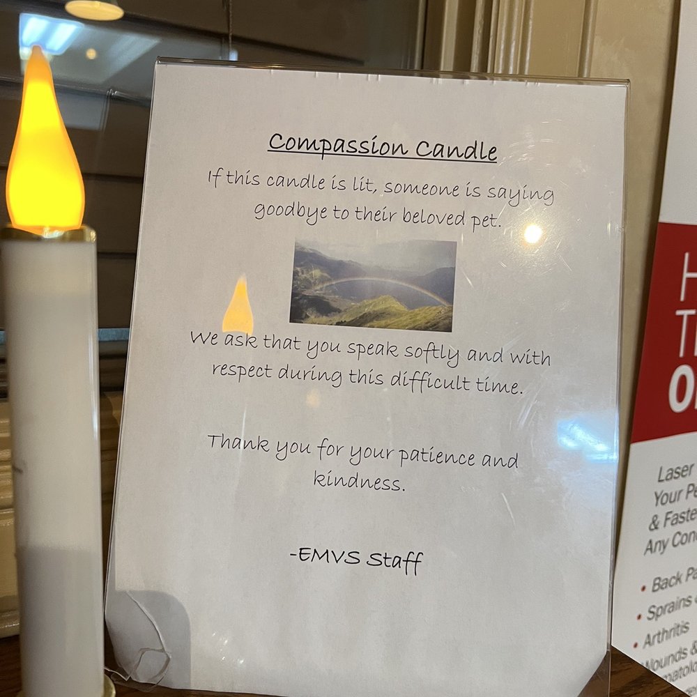 Compassion candle when a pet family member needs to put to rest Compassion candle when a pet family member needs to put to rest