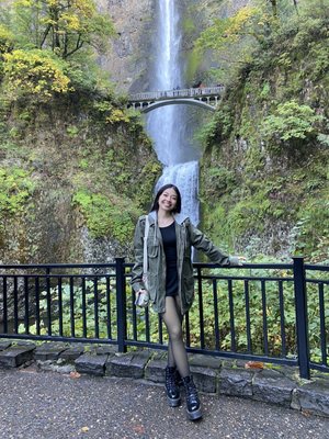 Multnomah Falls by null