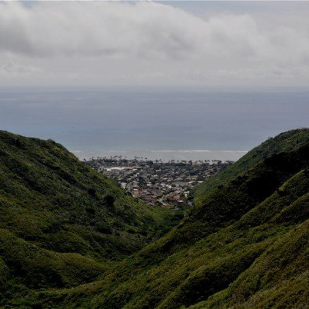 Hawaii Loa Ridge Trail - Hiking Near Me - Honolulu, Hawaii Hawaii Loa Ridge Trail - Hiking Near Me - Honolulu, Hawaii