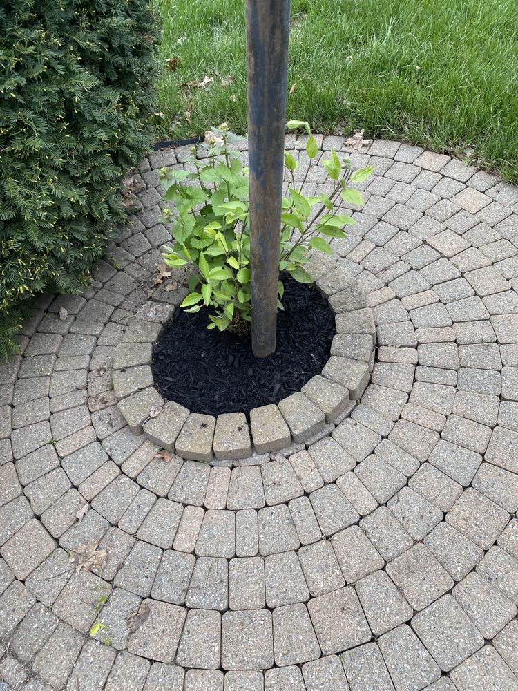 Slide of All For 1 For All