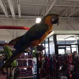 The bird may bite The bird may bite