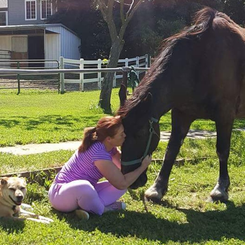 Loomis Basin Equine - Veterinarians Near Me - Penryn, California Loomis Basin Equine - Veterinarians Near Me - Penryn, California
