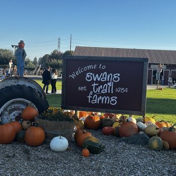 Swans Trail Farms - Pumpkin Patches Near Me - Snohomish, Washington Swans Trail Farms - Pumpkin Patches Near Me - Snohomish, Washington