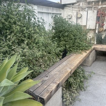 Devout Coffee - More weeds - Coffee Roasteries Near Me - Fremont, California Devout Coffee - More weeds - Coffee Roasteries Near Me - Fremont, California
