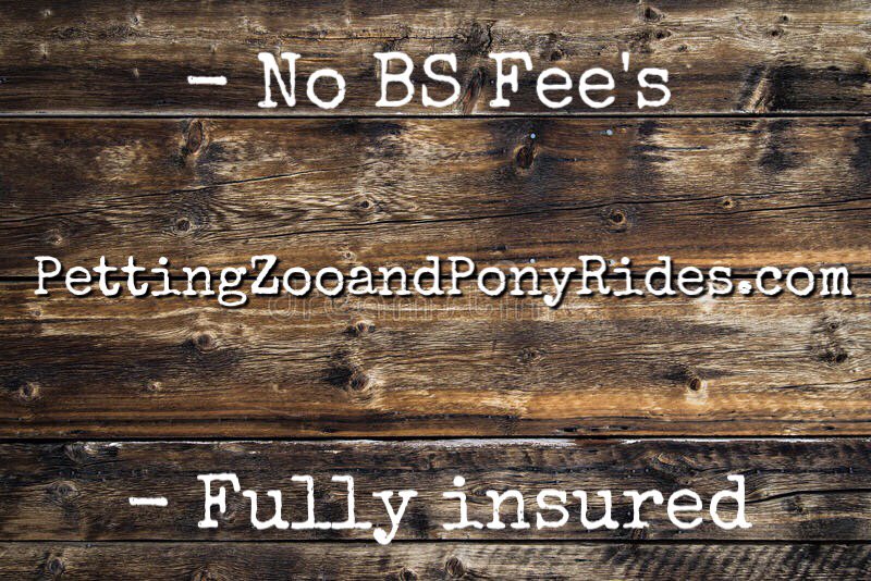 PETTING ZOO AND PONY RIDES Updated August 2024 12 Photos