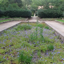 Steingarten Im Stadtpark